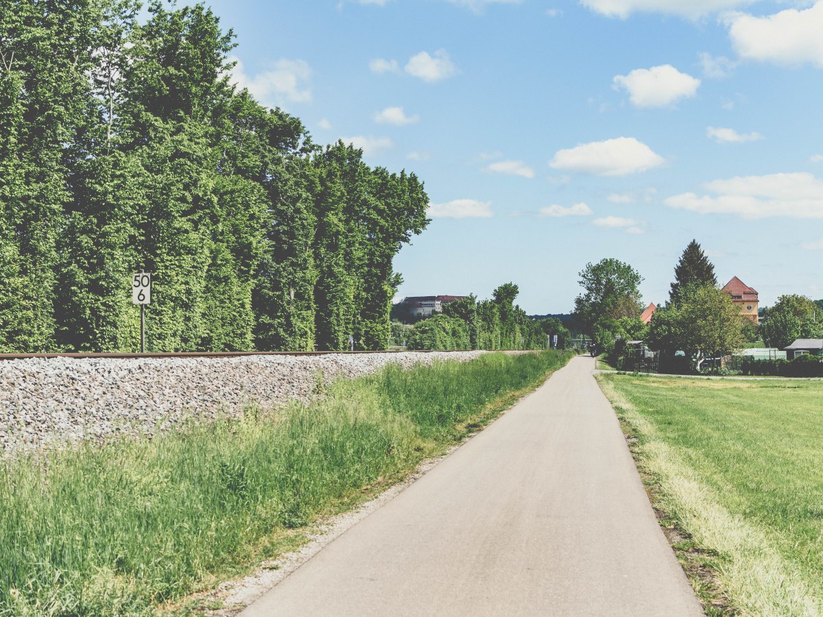 The Honey Badger&nbsp;Collective